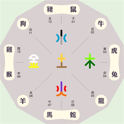 五行 辰|辰字的五行属性